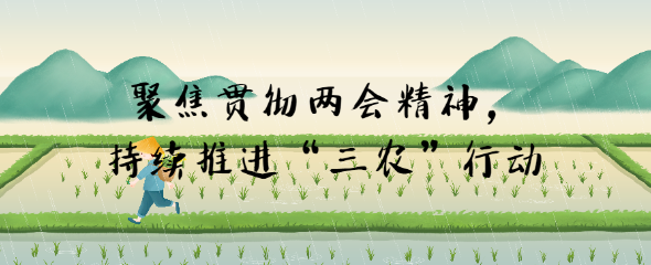 聚焦貫徹兩會精神，持續(xù)推進“三農(nóng)”行動