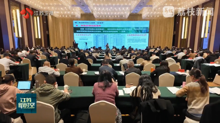 蒼穹數(shù)碼賦能顯成效，江蘇率先全面推進(jìn)用地用林合并審批獲全國推廣