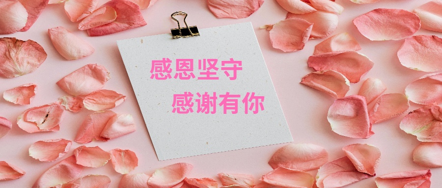 紅紅火火，蒸蒸日上 | 蒼穹數(shù)碼獲贛州市南康區(qū)不動(dòng)產(chǎn)登記中心感謝信！